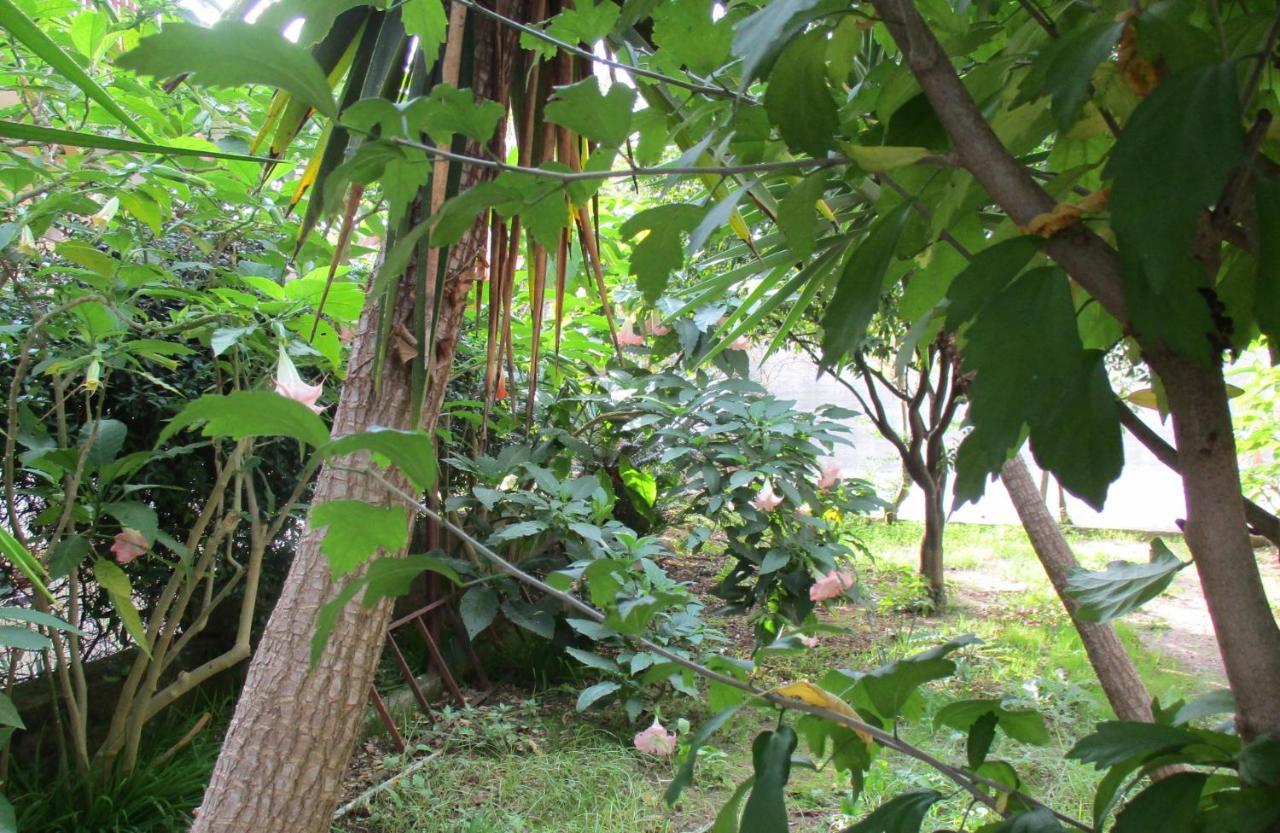 Resort Giardino Degli Aranci - Casa Lisca Baronissi Kültér fotó